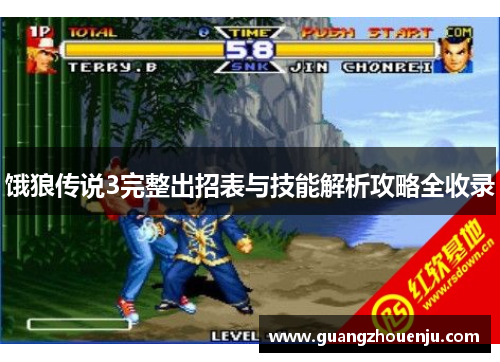 饿狼传说3完整出招表与技能解析攻略全收录